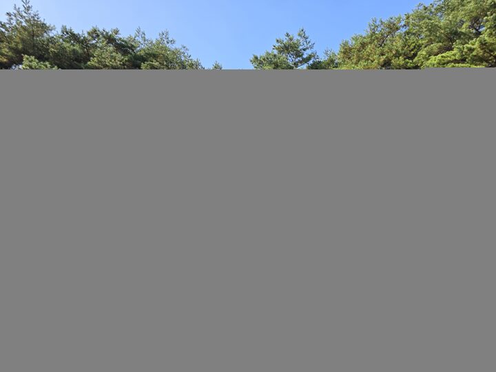 숭선군묘