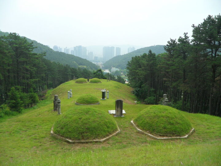 이수선생묘