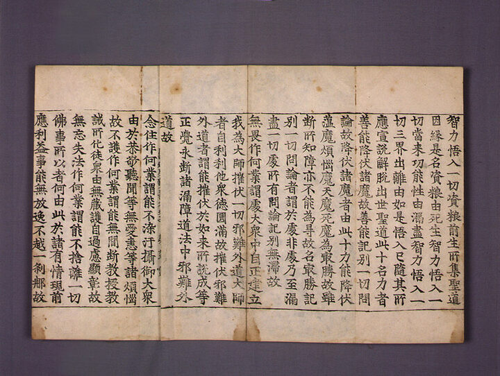 초조본 대승아비달마잡집론 권14