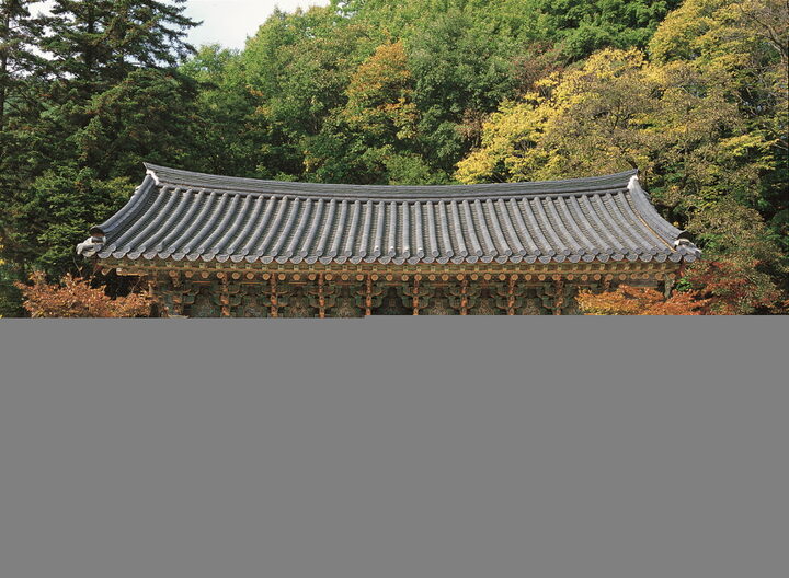 예천 용문사 대장전과 윤장대 정면