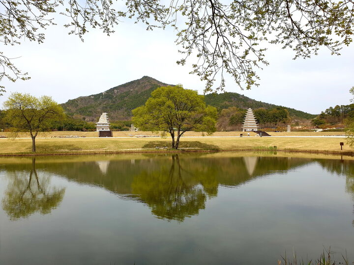 서연지에서 바라본 동서탑 전경