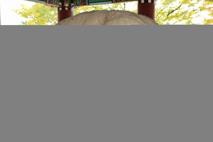 경주 태종무열왕릉비_이수 뒷면 (촬영년도 : 2015년)