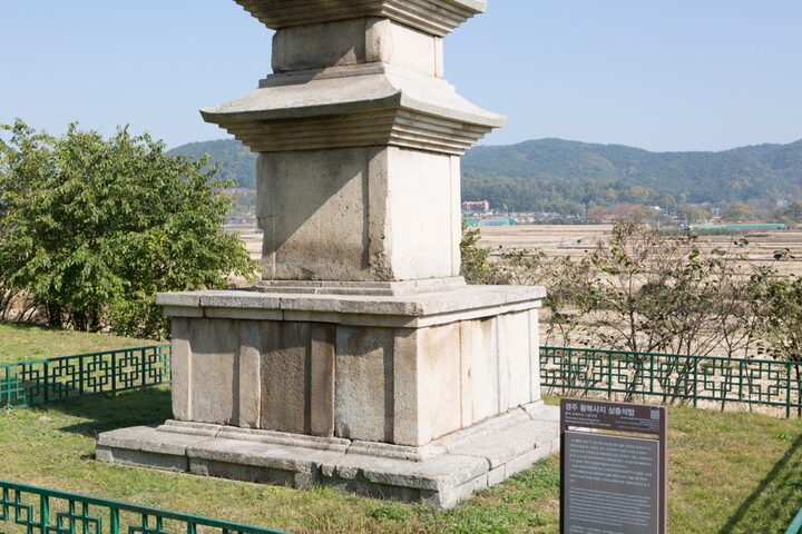 경주 황복사지 삼층석탑_면석 (촬영년도 : 2015년)