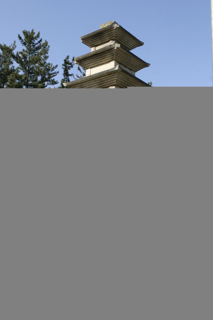 경주 나원리 오층석탑_전경_건축_2007년(출처 : 국립문화재연구소)