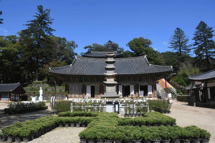 공주 마곡사 오층석탑 전경