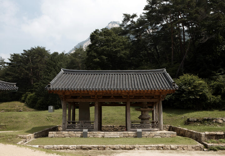 국보 문경 봉암사 지증대사탑비(2010년 국보,보물 지정보고서)