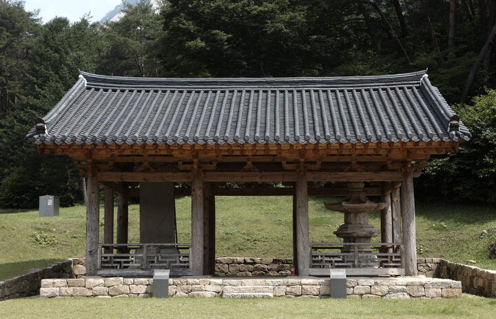 국보 문경 봉암사 지증대사탑비(2010년 국보,보물 지정보고서)