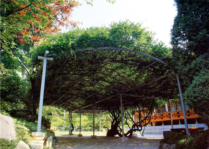 삼청동의등