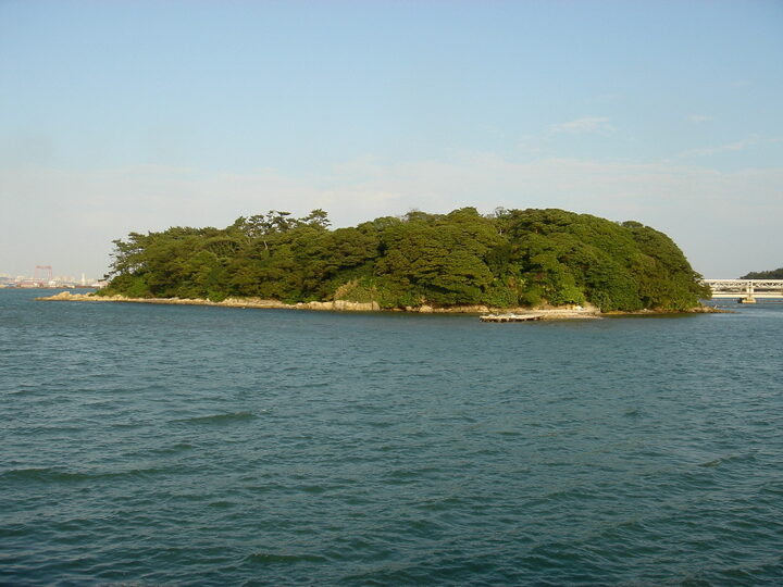 울주 목도 상록수림