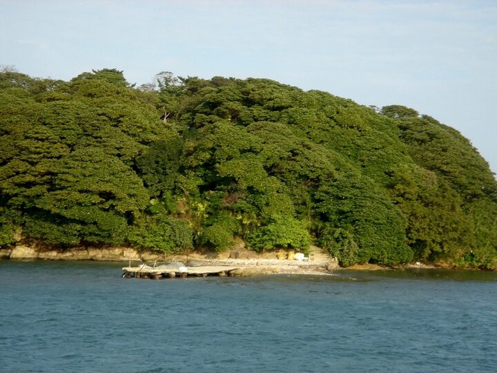 울주 목도 상록수림