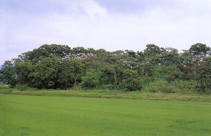 번식지(여주)