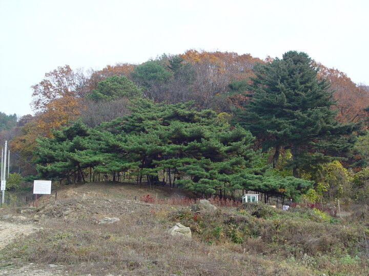 포천 직두리 부부송