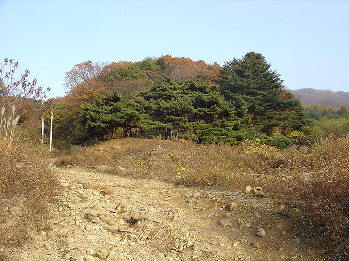 포천직두리의부부송