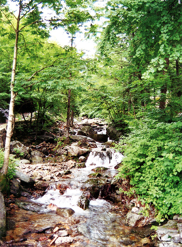 서식지(정선)