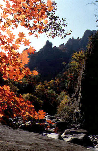 설악산천연보호구역