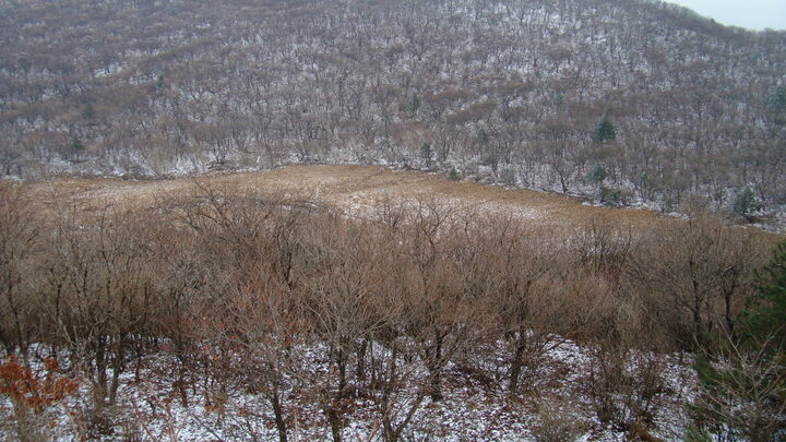 대암산 용늪