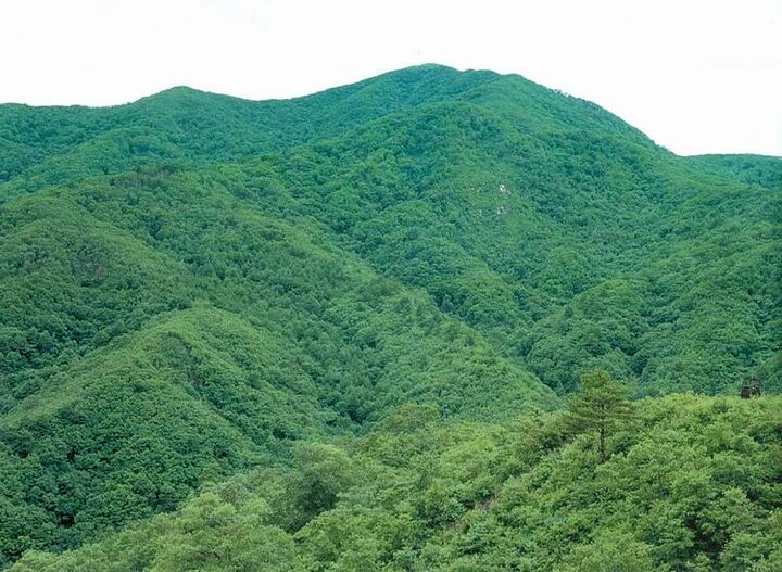 대암산,대우산천연보호구역
