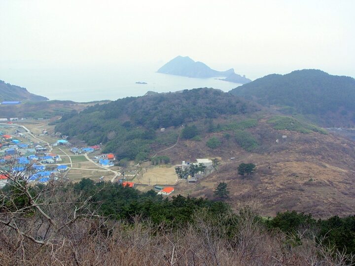 보령 외연도 상록수림