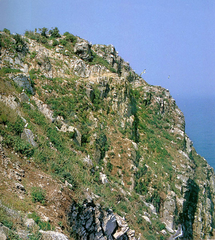 난도