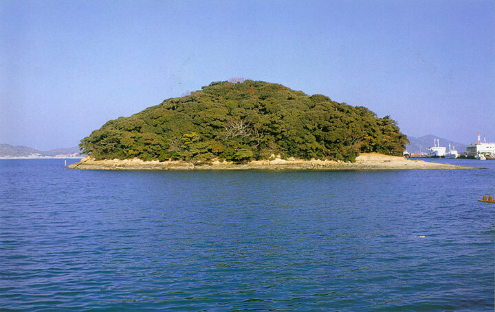 주도의상록수림