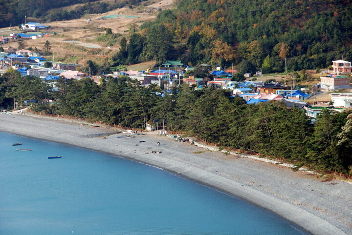완도 예송리 상록수림