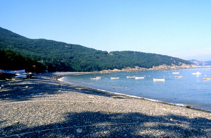 예송리 상록수림