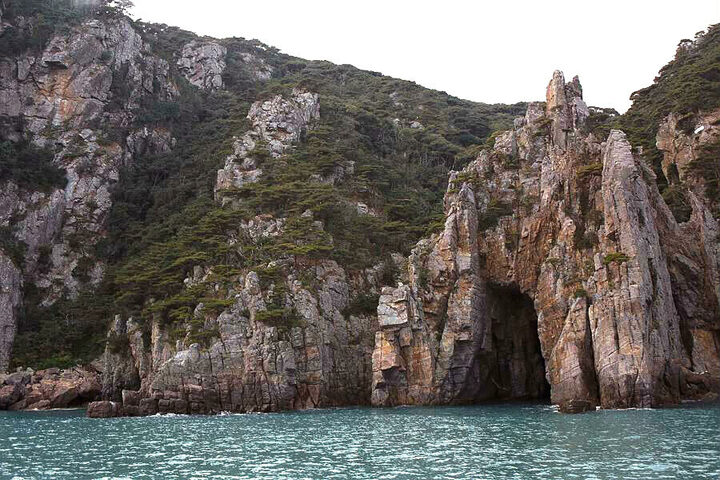 홍도 천연보호구역
