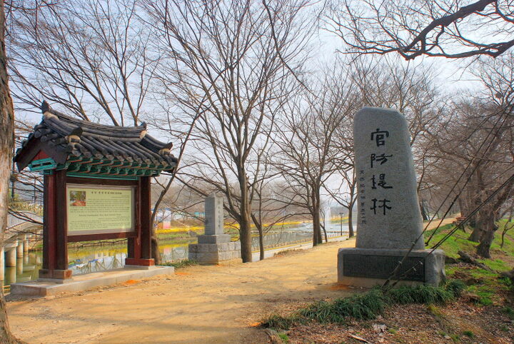 담양 관방제림