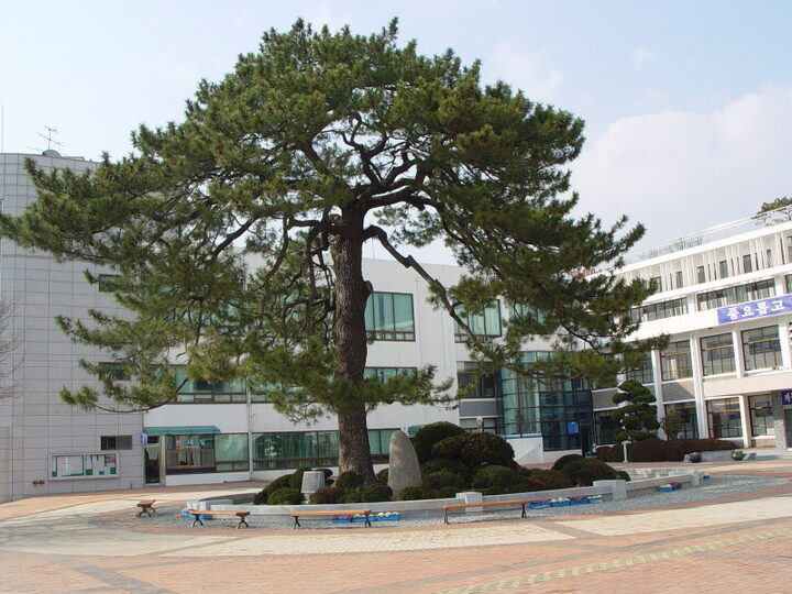 해남 성내리 수성송