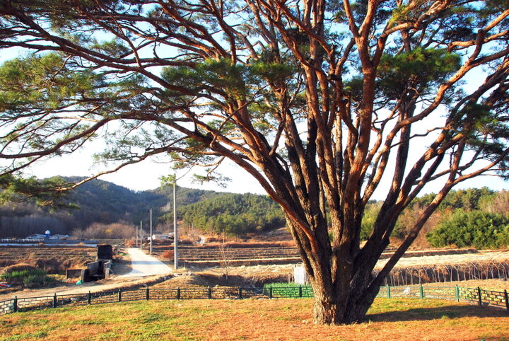 구미 독동리 반송