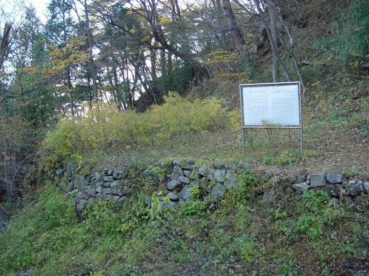 남해 화방사 산닥나무 자생지