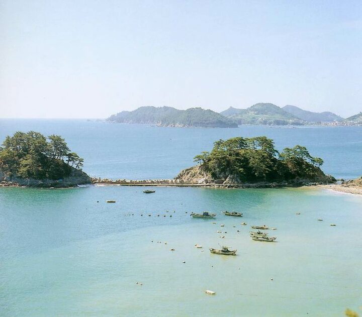 거제도연안의아비도래지