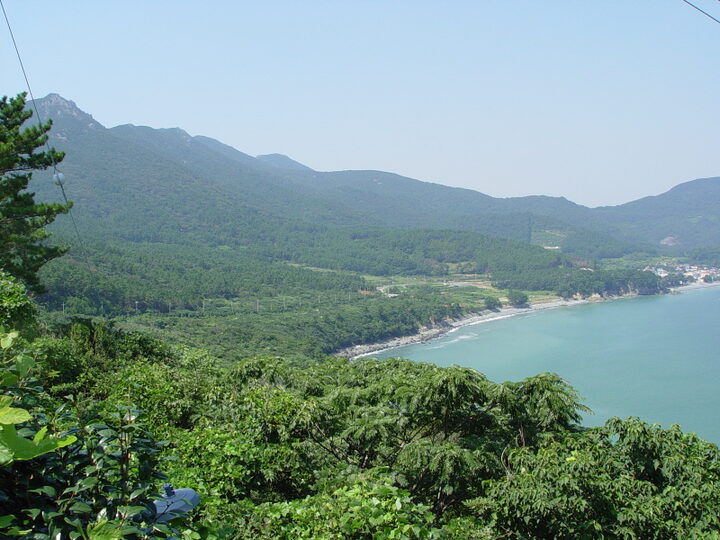 거제 학동리 동백나무 숲 및 팔색조 번식지