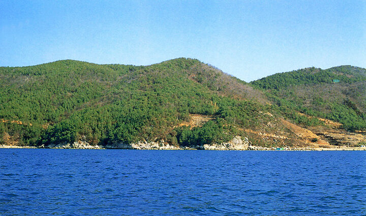 거제학동의동백림·팔색조번식지(거제학동)