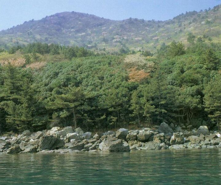 번식지(거제학동)