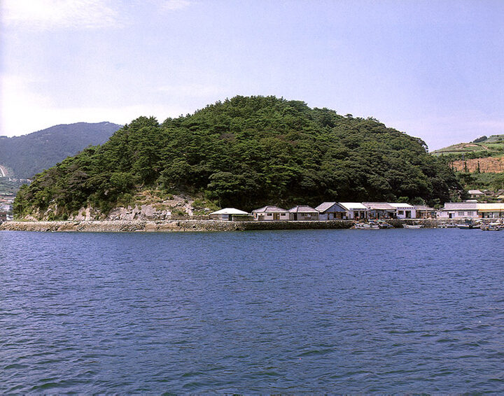욕지면의모밀잣밤나무숲