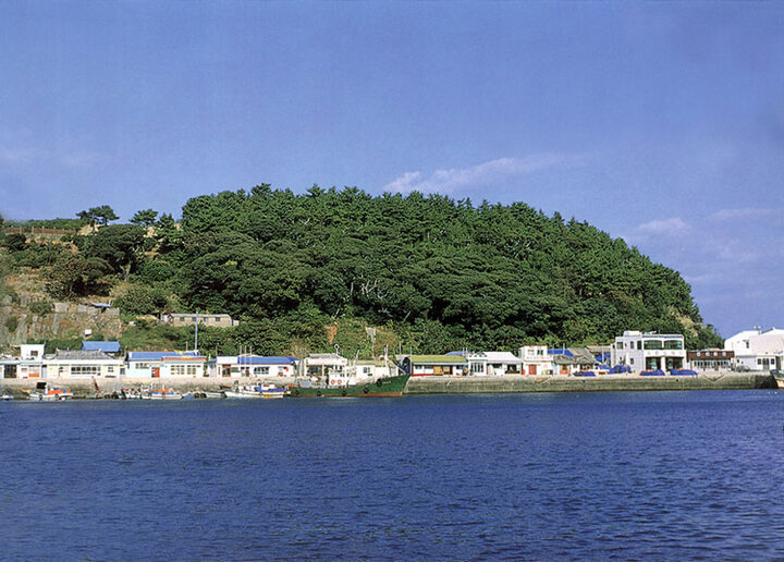 욕지면의모밀잣밤나무숲