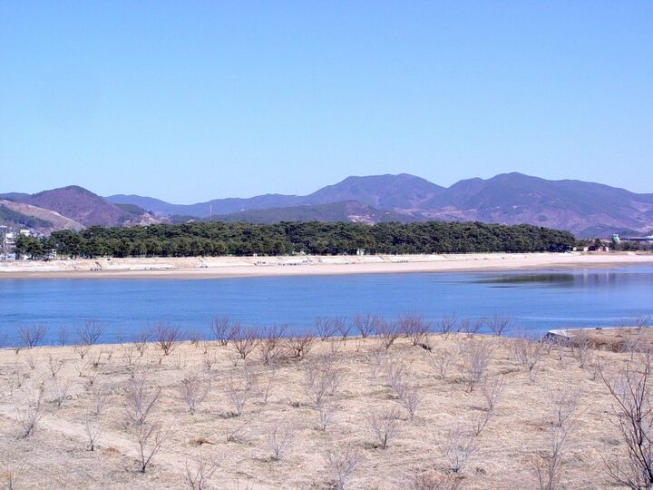 하동송림