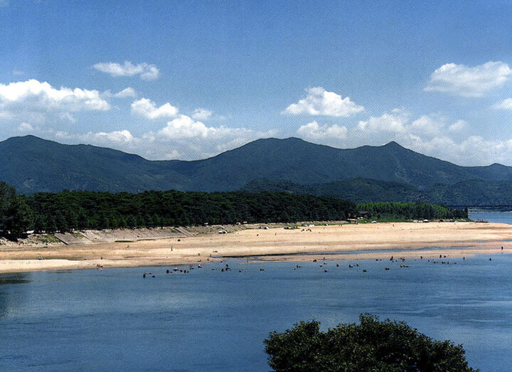 하동송림
