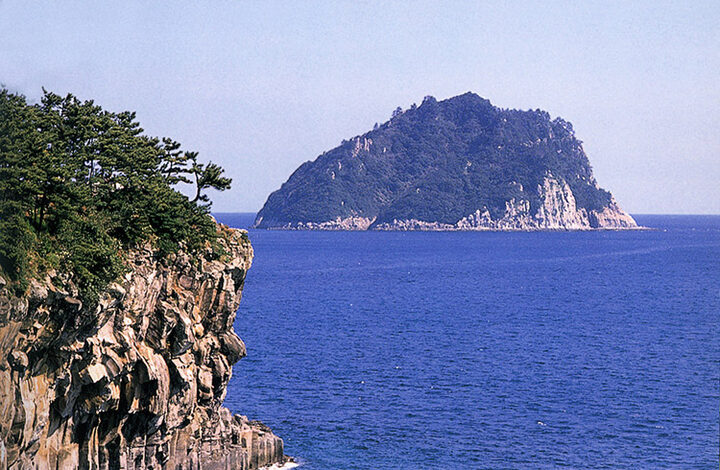 제주 삼도 파초일엽 자생지