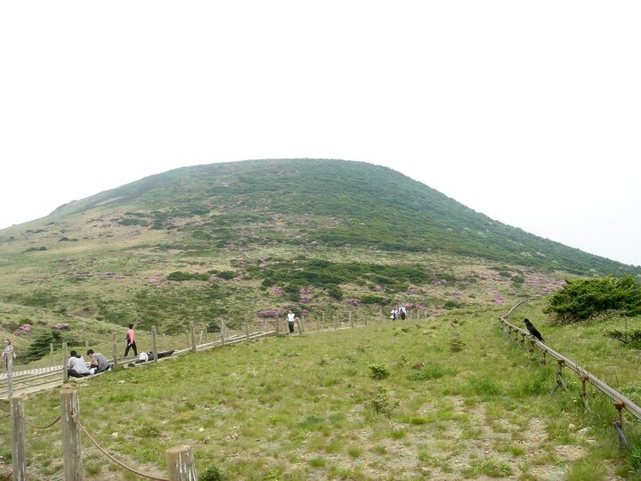 한라산천연보호구역