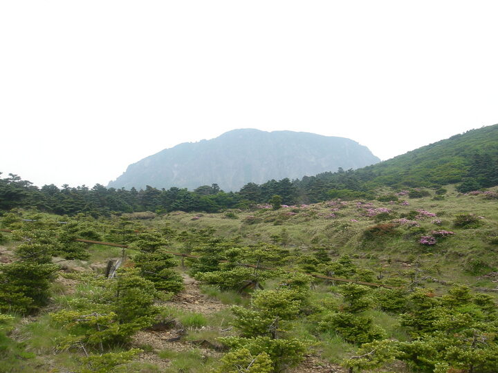 한라산천연보호구역