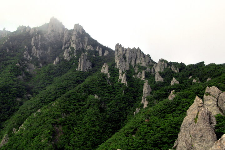 한라산천연보호구역