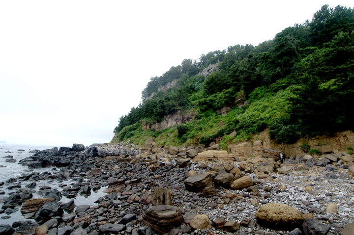 서귀포층패류화석산지 전경