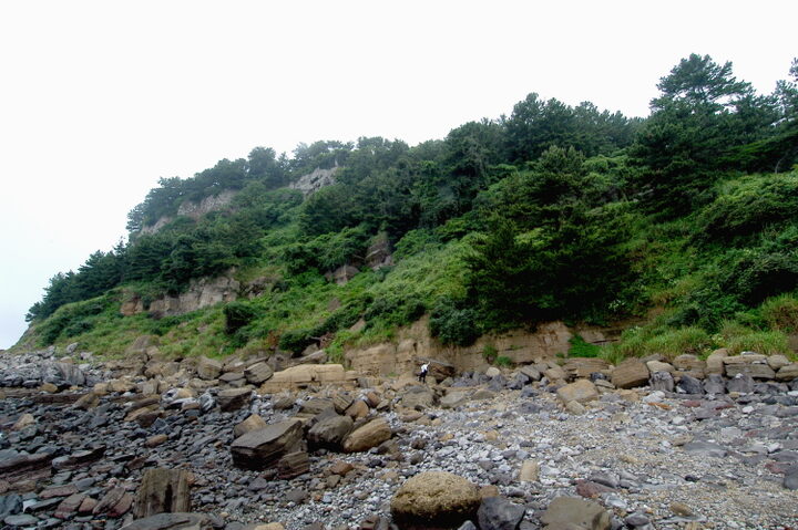 서귀포층패류화석산지 전경