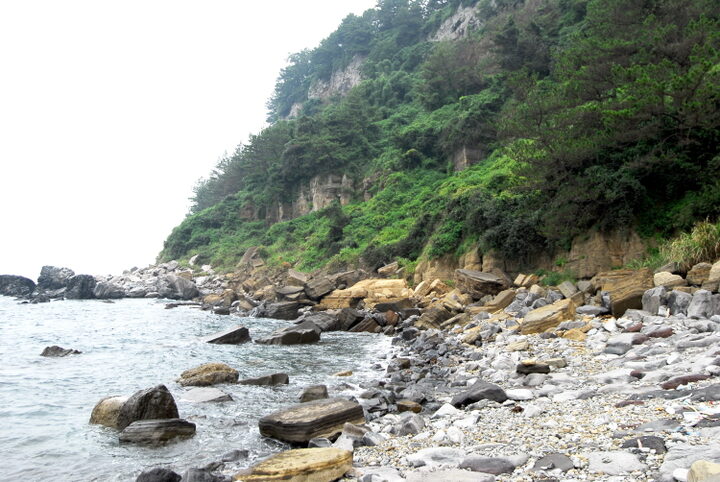 서귀포층패류화석산지 전경