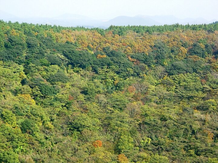 산굼부리 분화구
