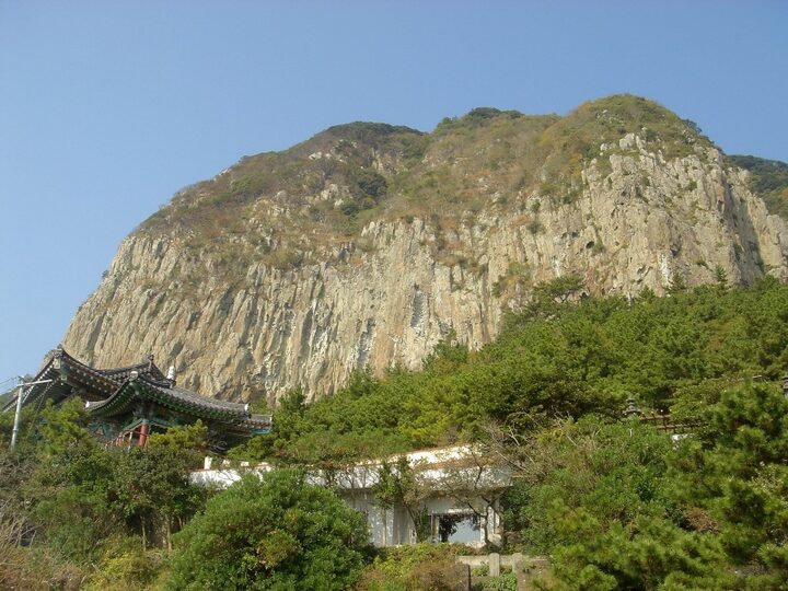제주 산방산 암벽식물지대