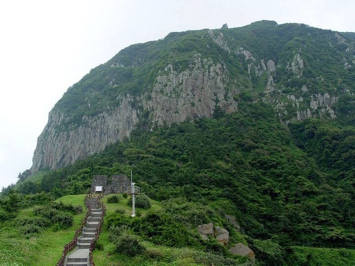 제주 산방산 암벽식물지대