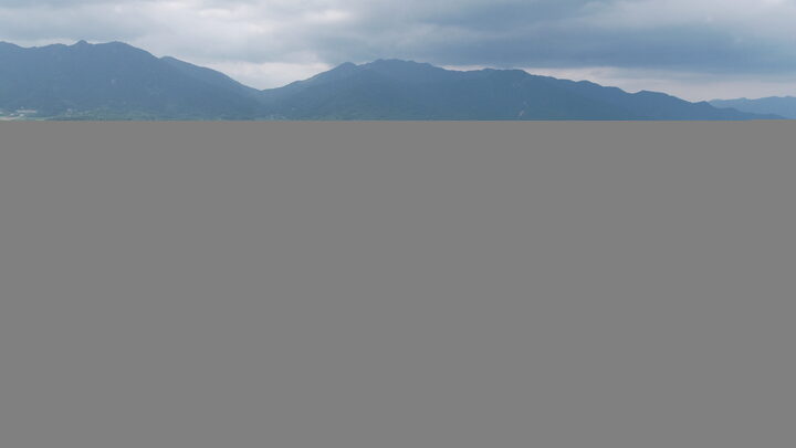 담양 태목리 대나무 군락-전경(문화재청 천연기념물과)